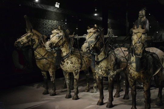 秦始皇陵銅車馬