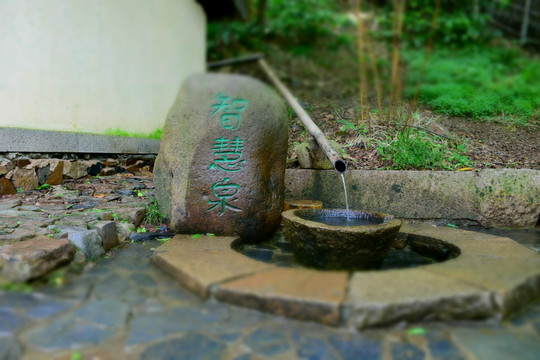 智慧泉水