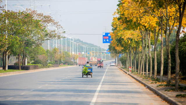 公路秋色