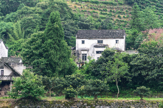兩岸民居