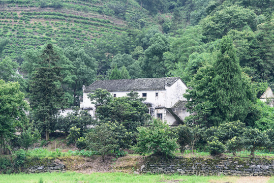 兩岸民居