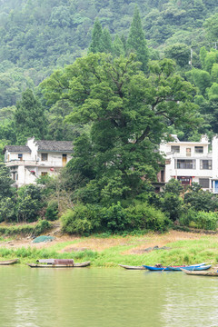 青山綠水