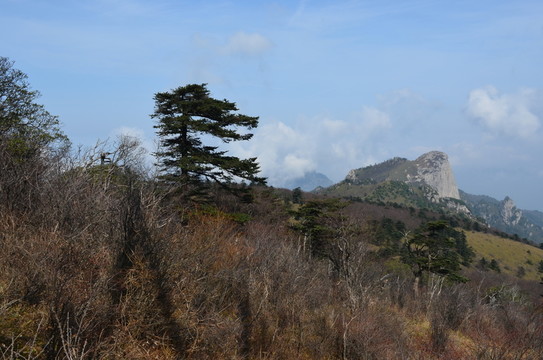 鷹嘴崖
