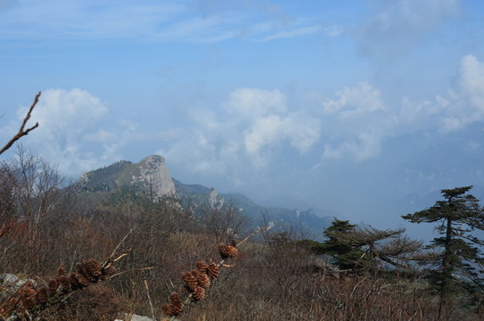 鷹嘴崖
