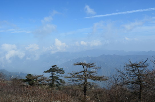 秦嶺分水嶺