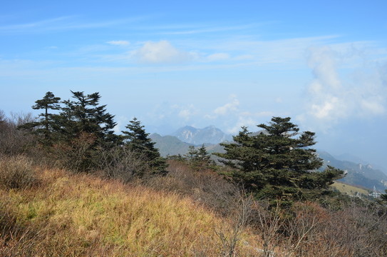 秦嶺分水嶺