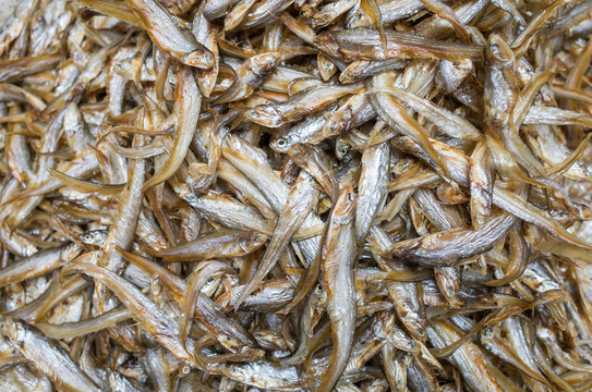 小魚干