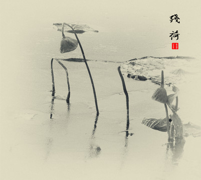 殘荷
