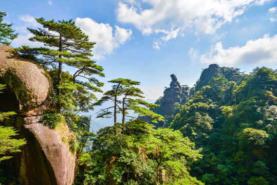 三清山松石奇峰
