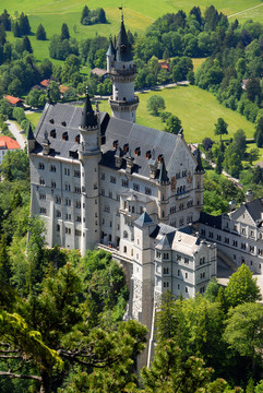 皇家城堡neuschwanstein