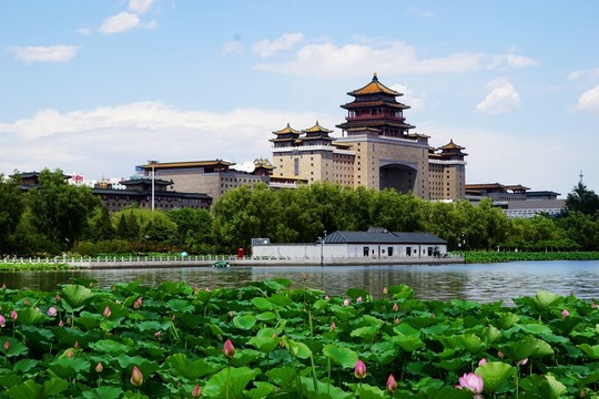 蓮花池