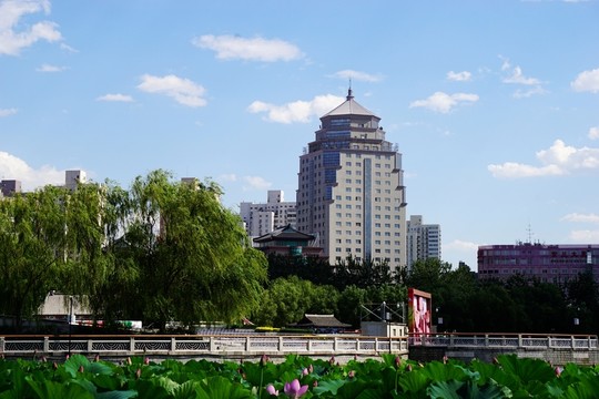 蓮花池