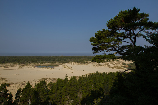 俄勒岡海岸