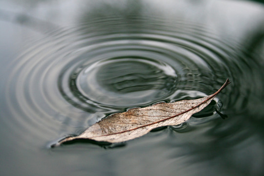 水滴