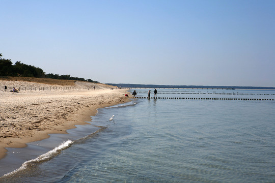 海灘