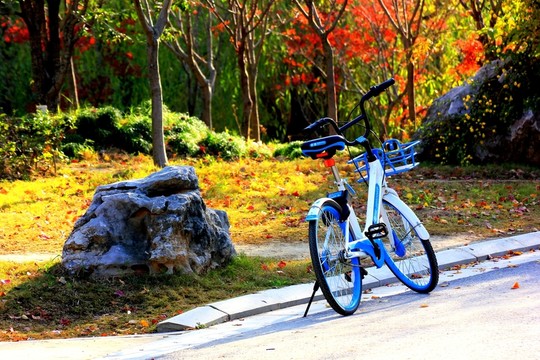 共享單車