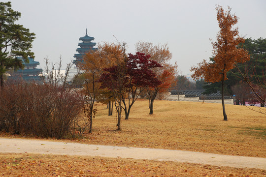 山路