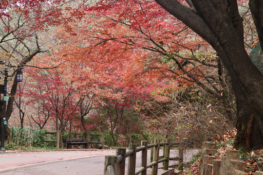 山路