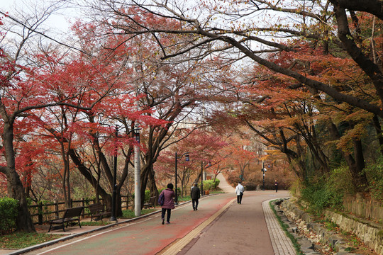 山路
