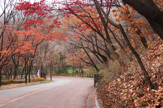 山路