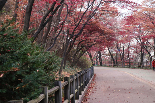 山路