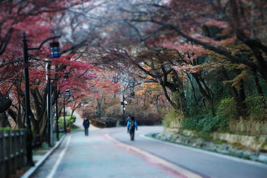 山路