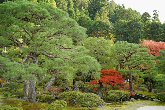日本東京風(fēng)光旅游攝影