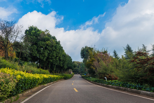 園林景觀