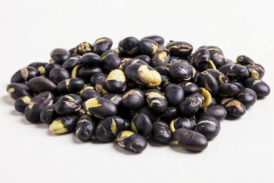 黑豆高清白底