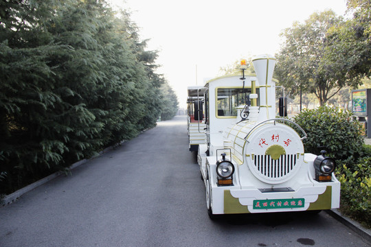 旅游觀光車 小火車