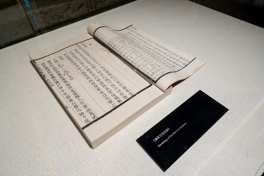 寧波天一閣 藏書 宗譜