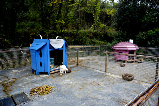 無動力樂園