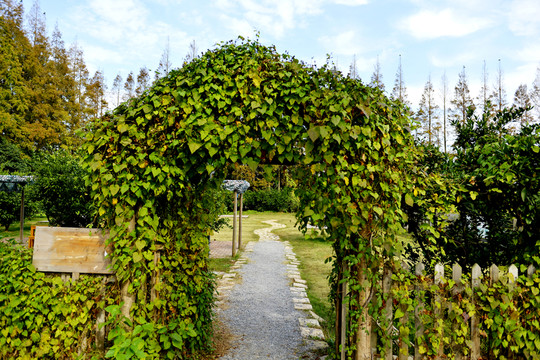 柵欄門 游樂園