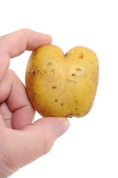 kartoffel