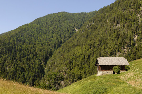 山