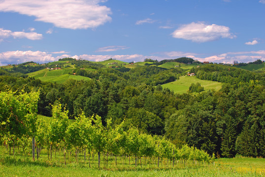 在托斯卡納styrian
