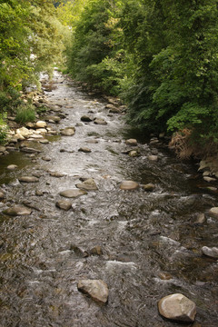 wikdromantische bode