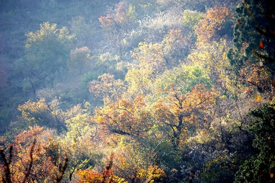 香山