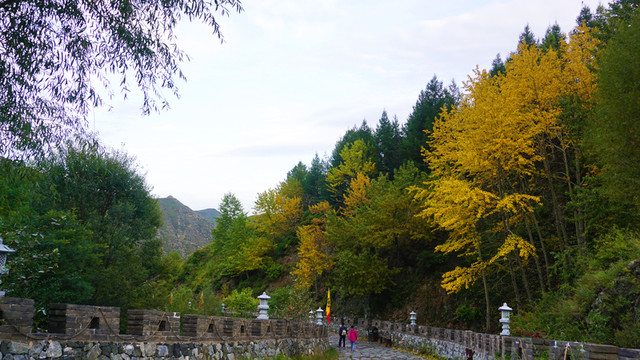 雁門關風景