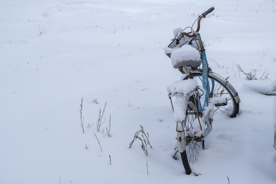 白雪中自行車