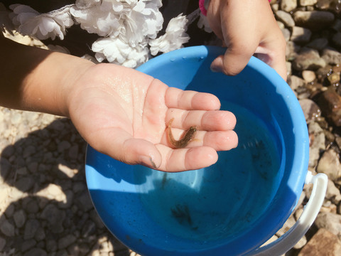 溪邊抓魚