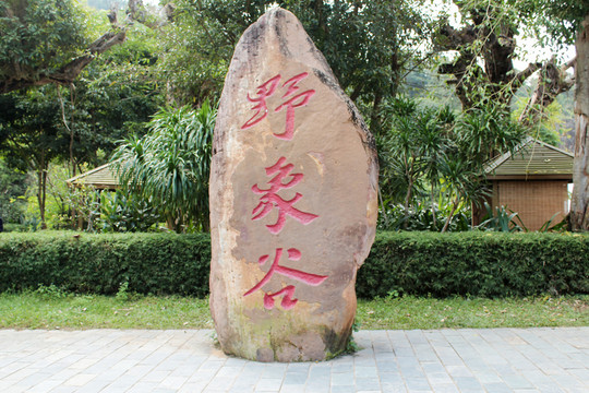 西雙版納野象谷