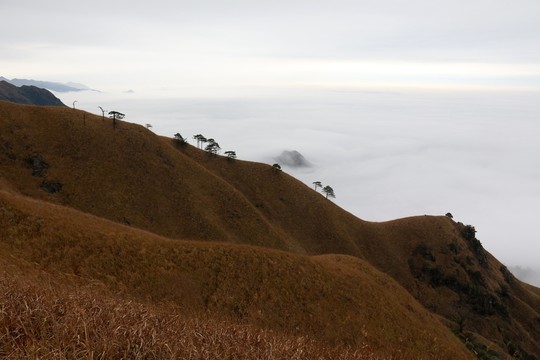 武功山風(fēng)景