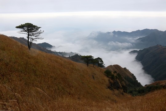 武功山風(fēng)景