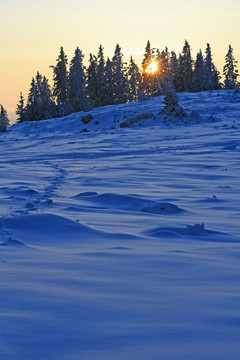 sonnenuntergang在阿爾卑斯山