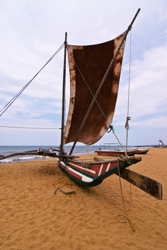 在斯里蘭卡的negombo ansichten