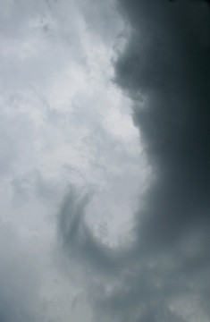 暴風雨