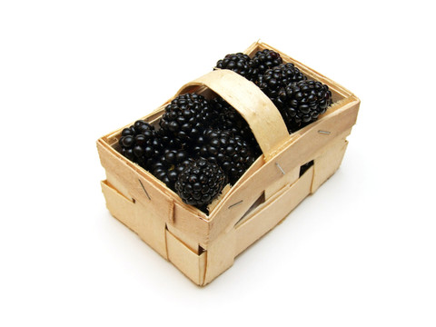 黑莓（rubus sectio rubus）