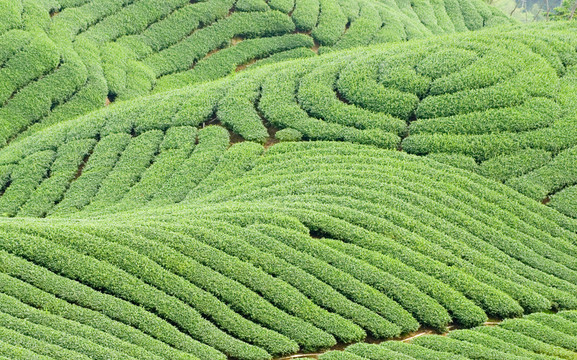 美國(guó)技術(shù)教育協(xié)會(huì)