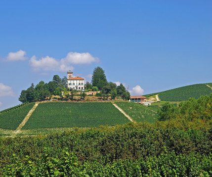 Weinland山麓